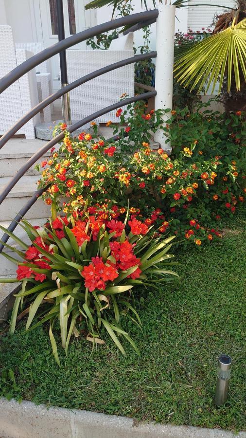 Apartments Tulipan - With Free Private Parking Garage Mostar Exterior foto